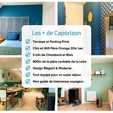 Saint-Claude-de-Diray Caporizon-Le Coffre Fort-Le Clos De Chambordヴィラ エクステリア 写真